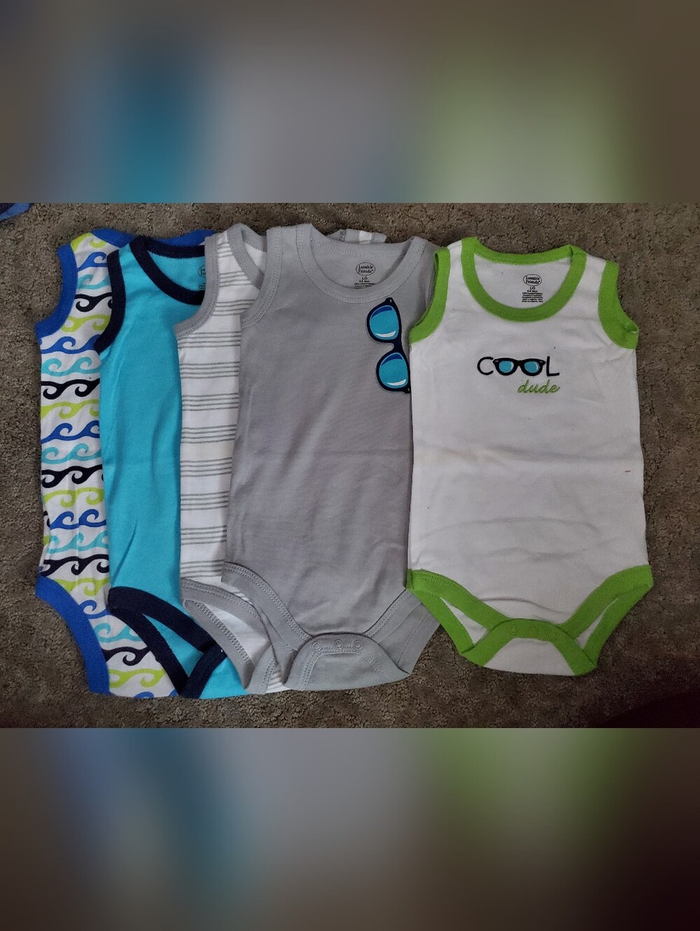 9 Month  One-Piece Bodysuit Set Of 5